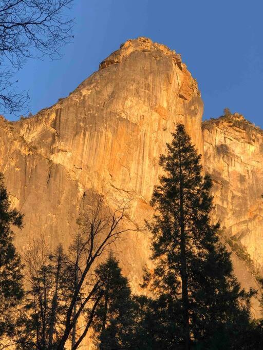 Cozy Cub Cabin, Brand New Home Near Yosemite ماريبوسا المظهر الخارجي الصورة